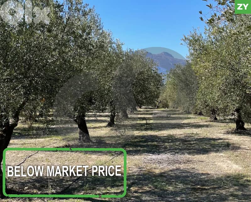 Investment Opportunity in Prime Kferhawra, zagharta  REF#ZY126073 0