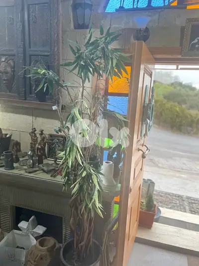 artificial tree