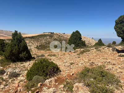RWB129RR - Land for sale in Tripoli - Denniyeh