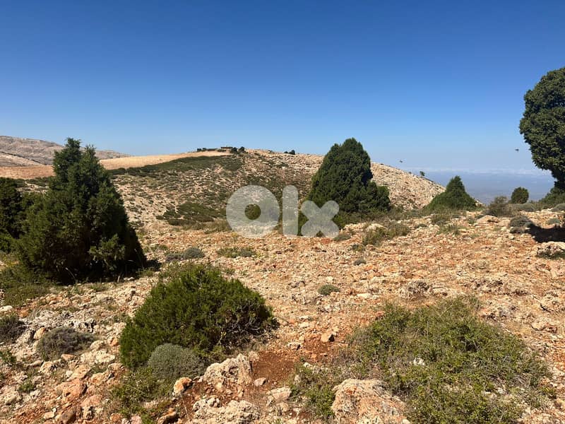 RWB129RR - Land for sale in Tripoli - Denniyeh 4