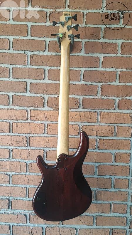 Cort Action V walnut bass 1