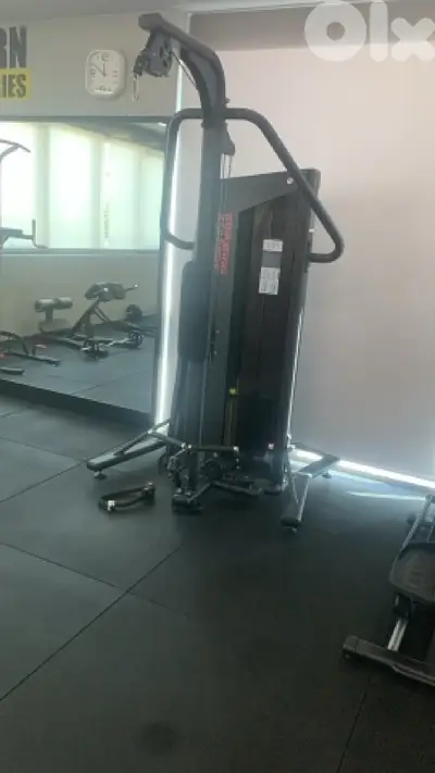 Biceps/Triceps Cable Machine