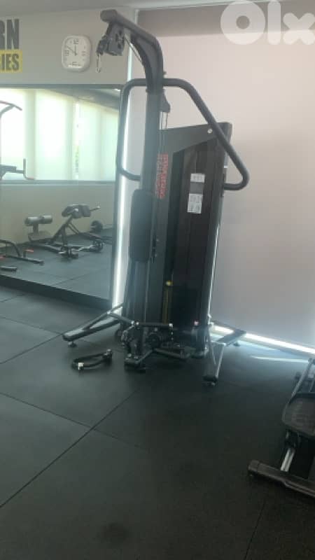 Biceps/Triceps Cable Machine 0