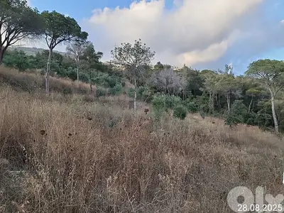 land for sale monteverdy 30 /90%