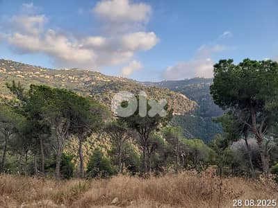 land for sale monteverdy 30 /90%