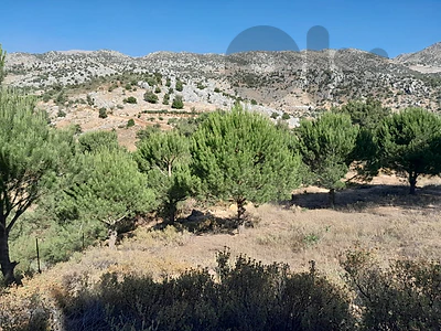3500 Sqm Land For Sale In Hasbaya El Kfeir ارض للبيع في حاصبيا الكفير