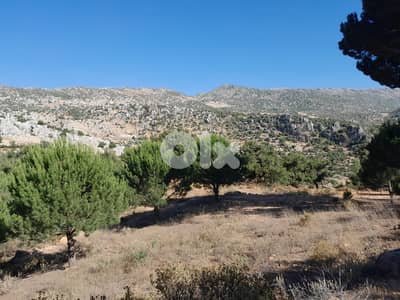 3500 Sqm Land For Sale In Hasbaya El Kfeir ارض للبيع في حاصبيا الكفير