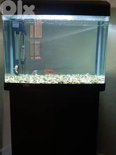 fish tank ,fish aquarium,stand , atman-620