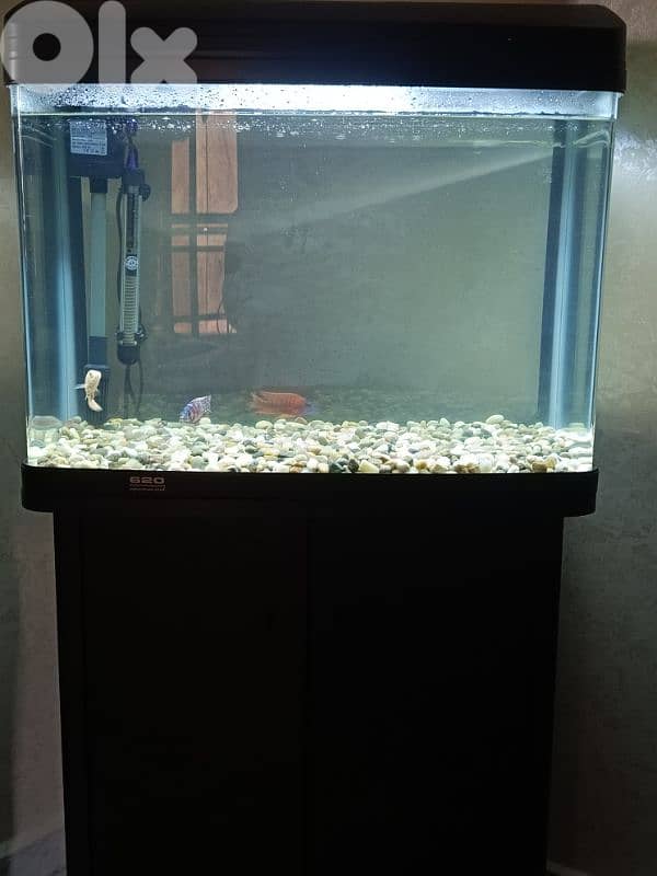 fish tank ,fish aquarium,stand , atman-620 0
