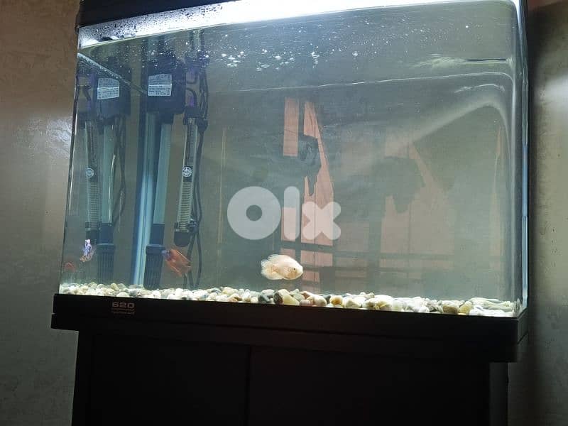 fish tank ,fish aquarium,stand , atman-620 1