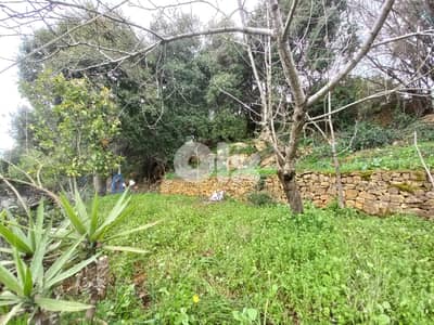 Villa for sale in Bikfaya/  Panoramic view