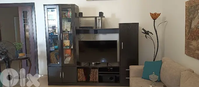 tv unit