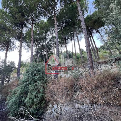 House with Land in Torzaya منزل مع أرض في تورزايا