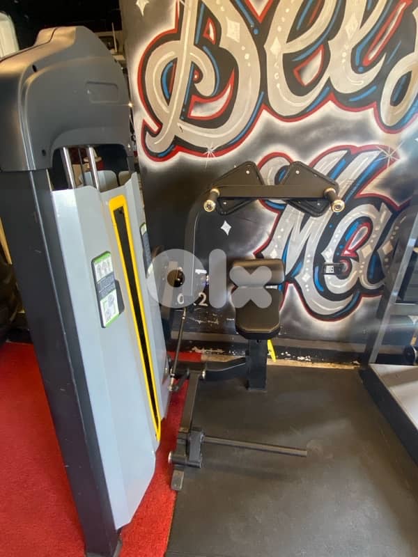 2 CYBEX MACHINES + 1 abs machine 2