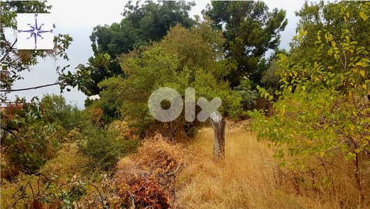Traditional Lebanese house for sale / 150 YEARS OLD IN GOOD  CONDITION