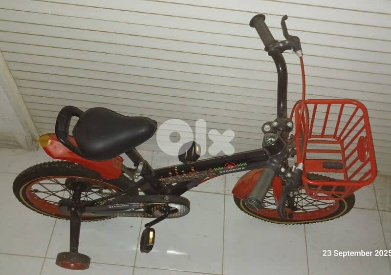 Bicycle 12" 0