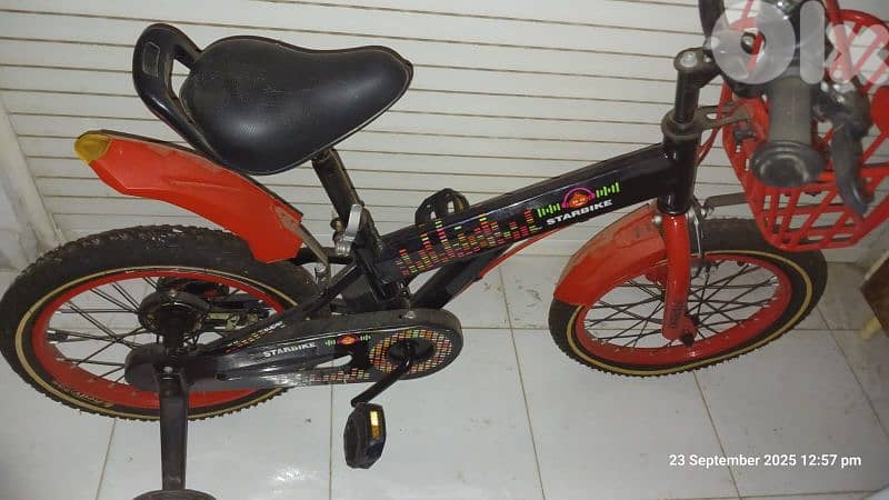 Bicycle 12" 1