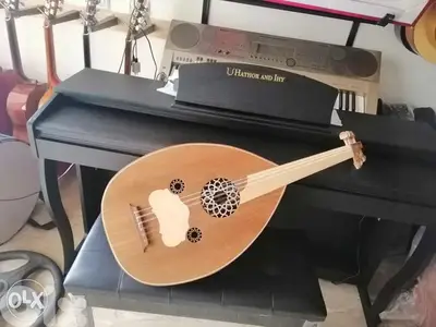 عود صوت مميز الوج ارز كندي والظهر جوز وزين