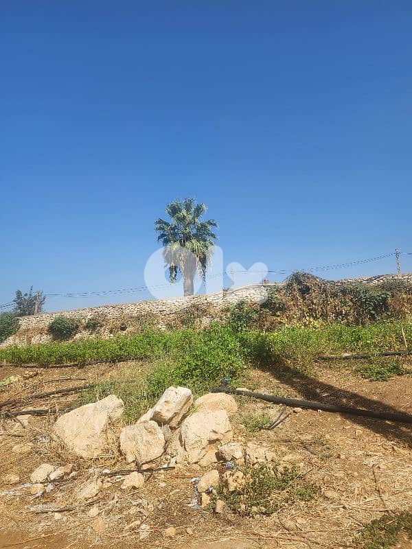 land for sale in rmayleh أرض للبيع في الرملية 5