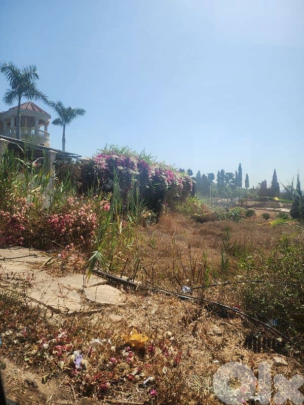 land for sale in rmayleh أرض للبيع في الرملية 9
