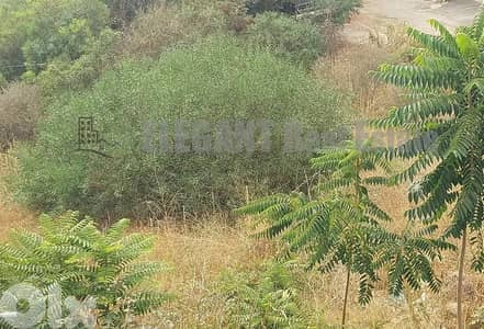 Land for sale | Prime location | Sahel Alma