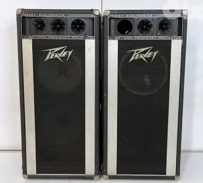 peavey ampli system reverb mic