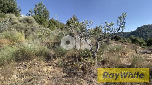 RWB294CA - Land for sale in Hadtoun Batroun