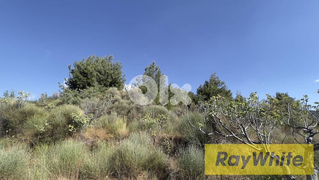 RWB294CA - Land for sale in Hadtoun Batroun 3