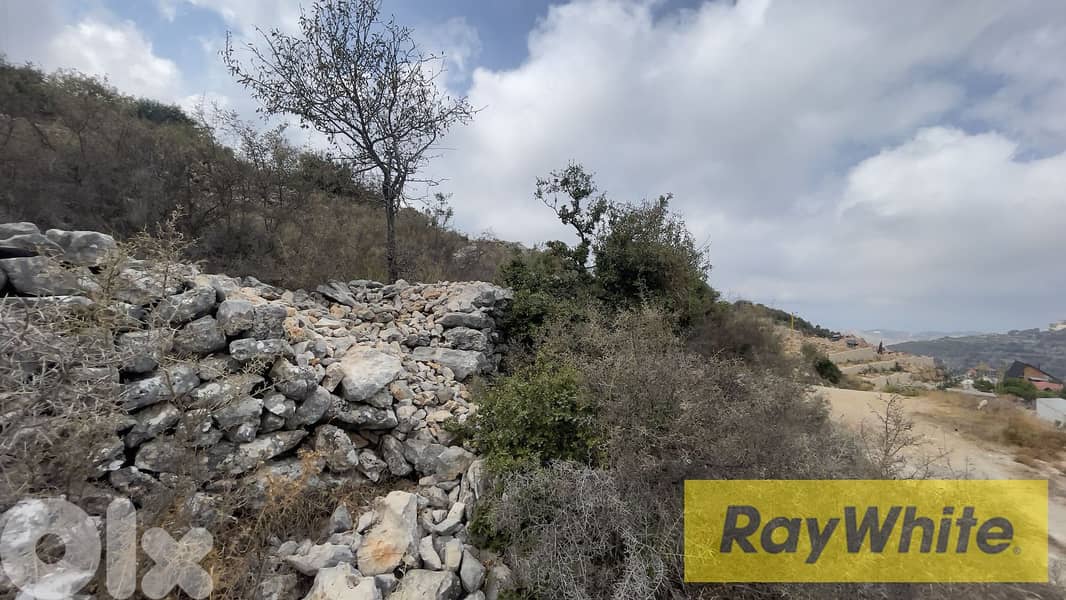 RWB298CA - Land for sale in Kherbeh Jbeil 4