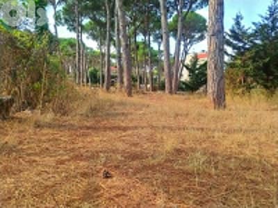 1640 Sqm Land For Sale In Jouret El Ballout ارض للبيع في جورة البلوط