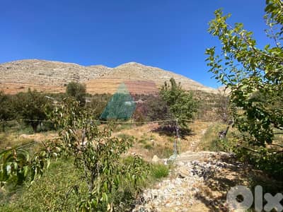 2350 m2 Prime Land+mountain view 4sale in Faraya - أرض للبيع في فاريا