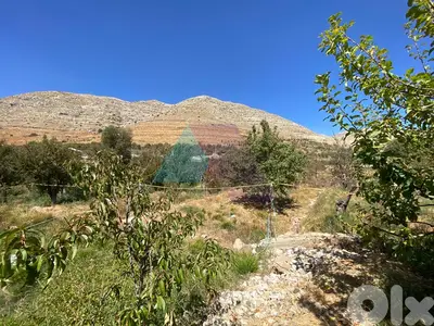 2350 m2 Prime Land+mountain view 4sale in Faraya - أرض للبيع في فاريا