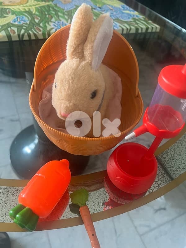 Walking rabbit 0