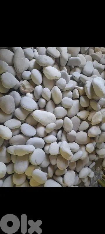 بحص حجار ابيض والوان مشكل و قياسات