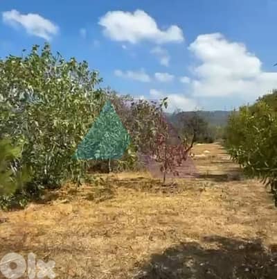Invest now Perfect 4 bengalows & vacation rentals(10 min from Baabdat)