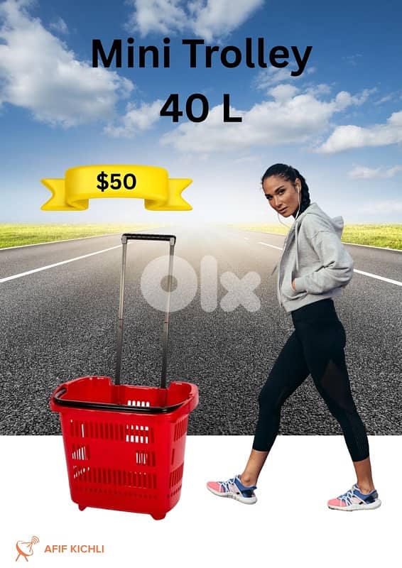 Trolleys & Baskets for Supermarket, Stores & Pharmacies 2