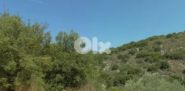 Land for sale in Mrah El ZIyet-Batroun أرض للبيع في مراح الزيات