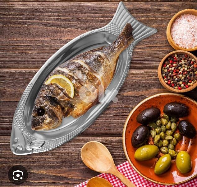 stainless steel fish plate 0