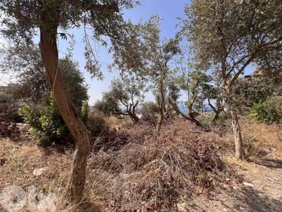 Land For Sale In Blat | Open Sea View | أرض للبيع | PLS 26383