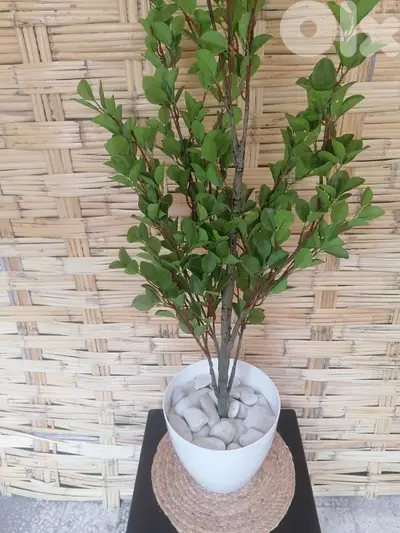 نباتات صناعية و اشجار حسب الطلب Customizable Artifical plants/Trees