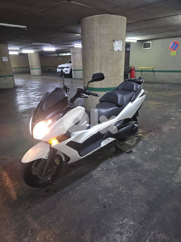 silverwing 1