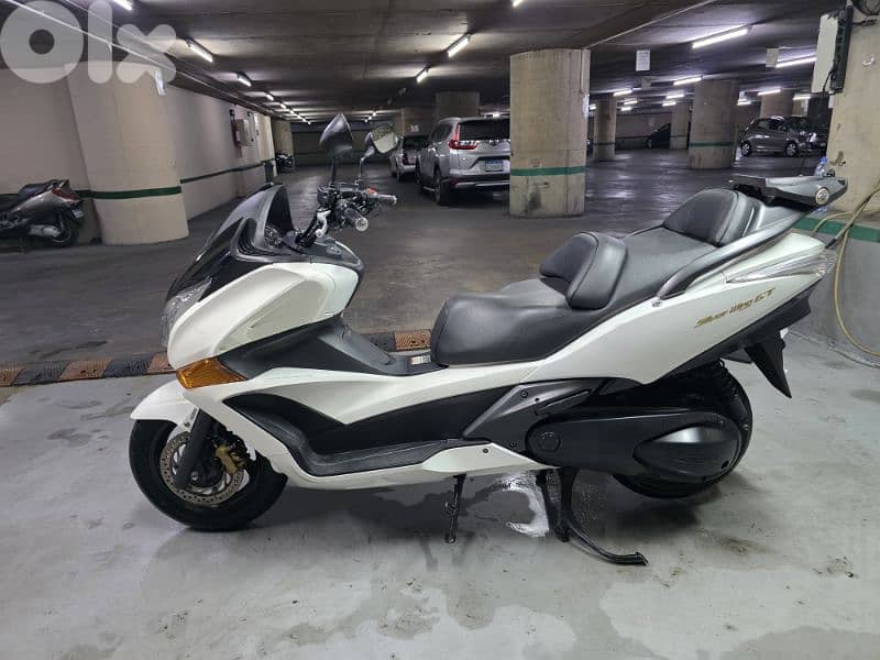 silverwing 12