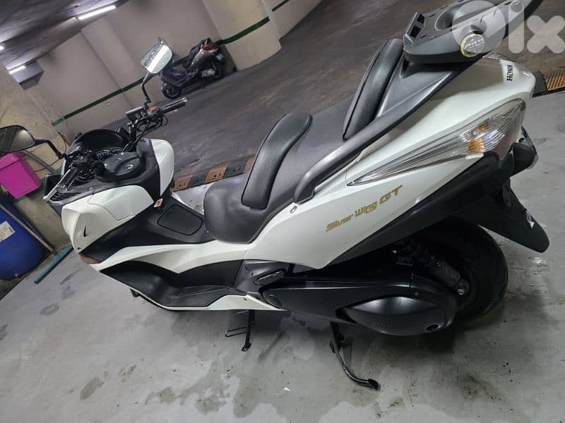 silverwing 13