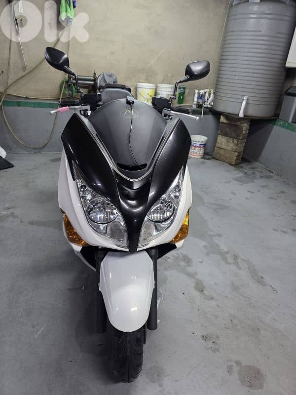 silverwing 14