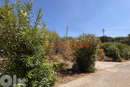 Land For Rent In Dik El Mehdi – CPTA09