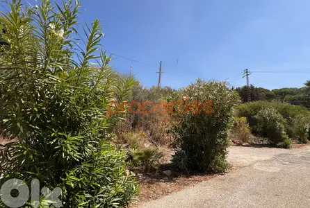 Land For Rent In Dik El Mehdi أرض للإيجار في ديك المحدي CPTA09