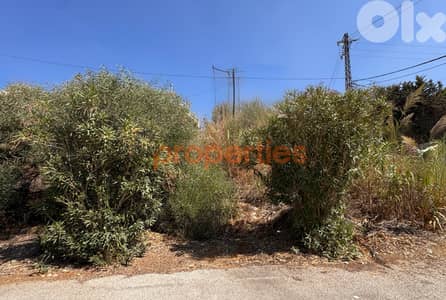 Land For Rent In Dik El Mehdi – CPTA09