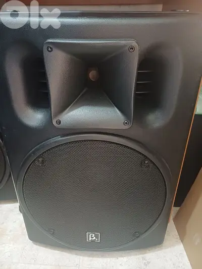 2 speaker 15" beta 3 original used like new