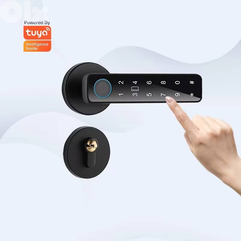 Smart Door Handle D-15 6