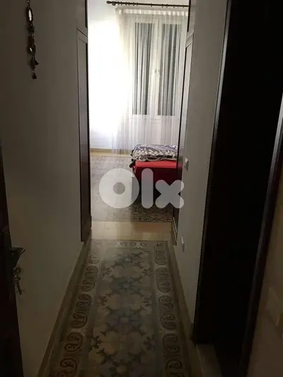 furnished classical vintage 1 bedr apartment